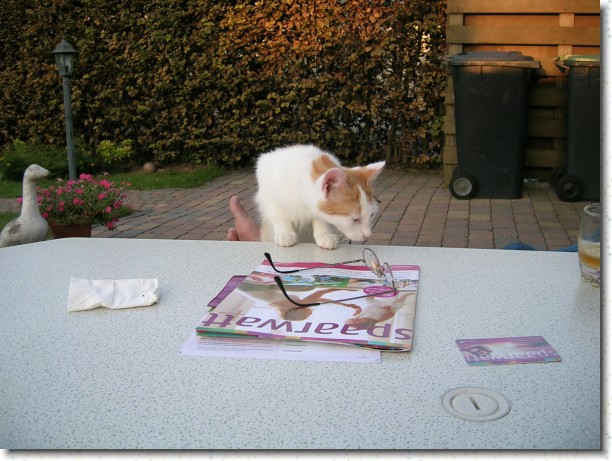 Klik hier voor de originele foto
